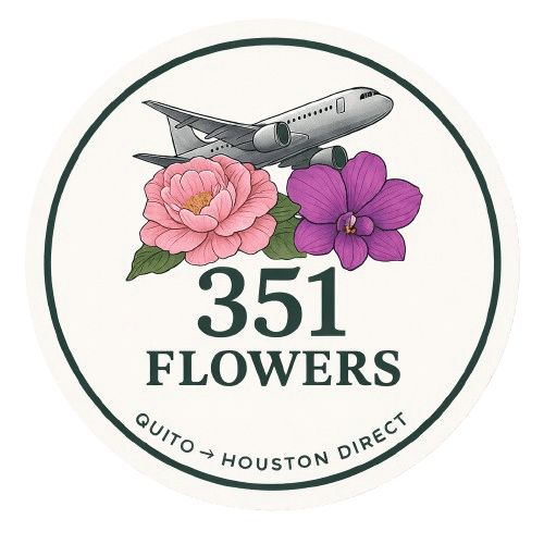 Logo1-removebg-preview