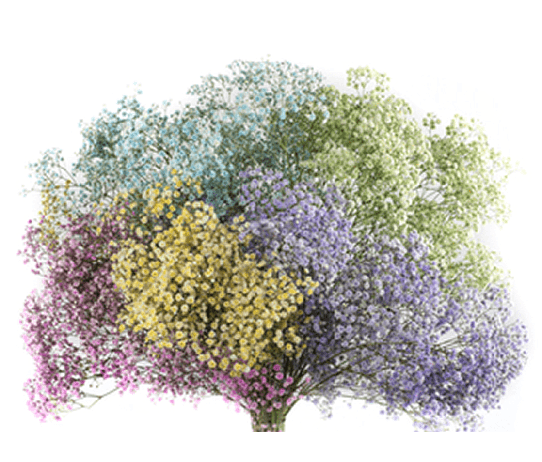 Multicolored floral arrangement