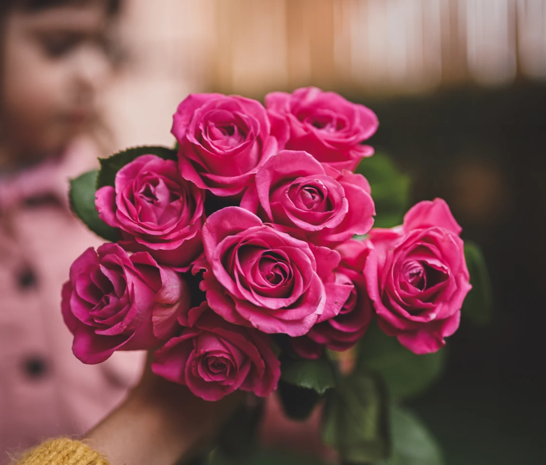 Child holding vibrant pink roses