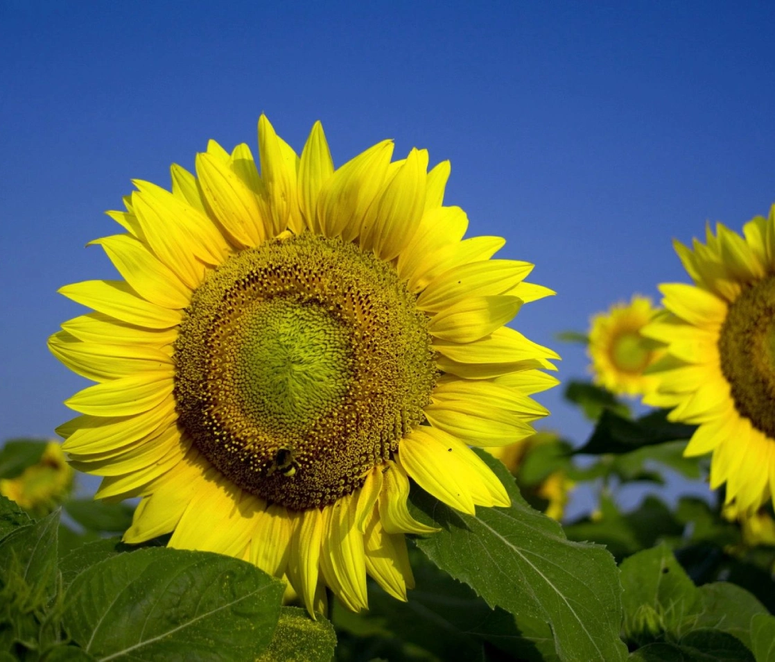 our-services-13-v3_our-services-13-v3_image2 (1)