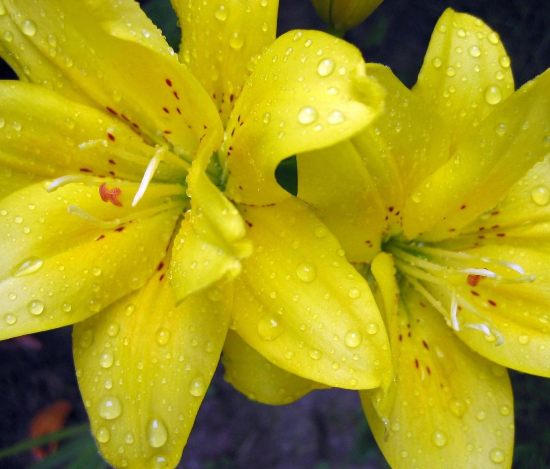 our-services-13-v3_our-services-13-v3_image2 (2)